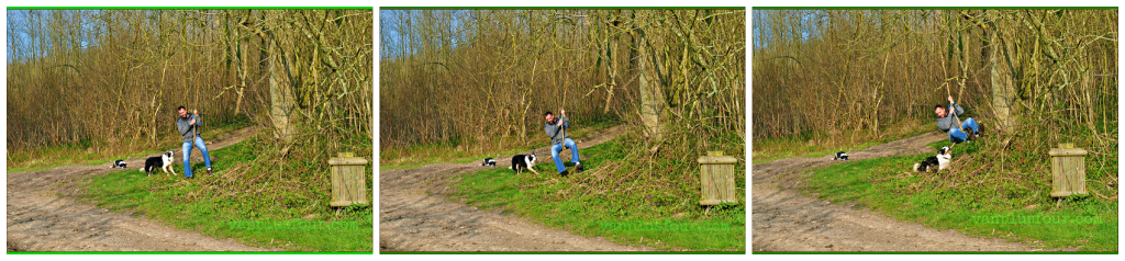 dog walk in Nord Pas de Calais